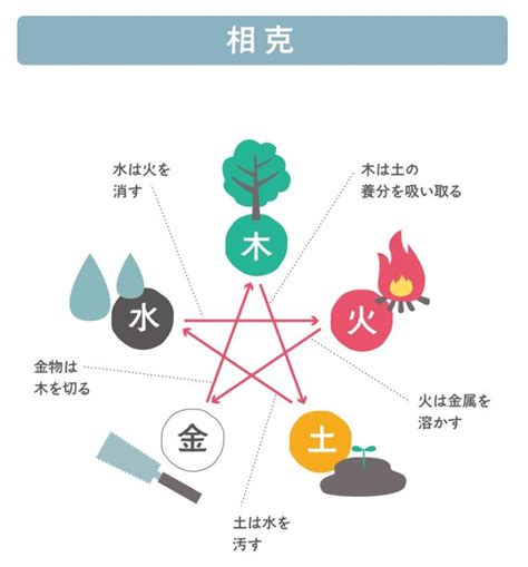 金剋木|五行思想